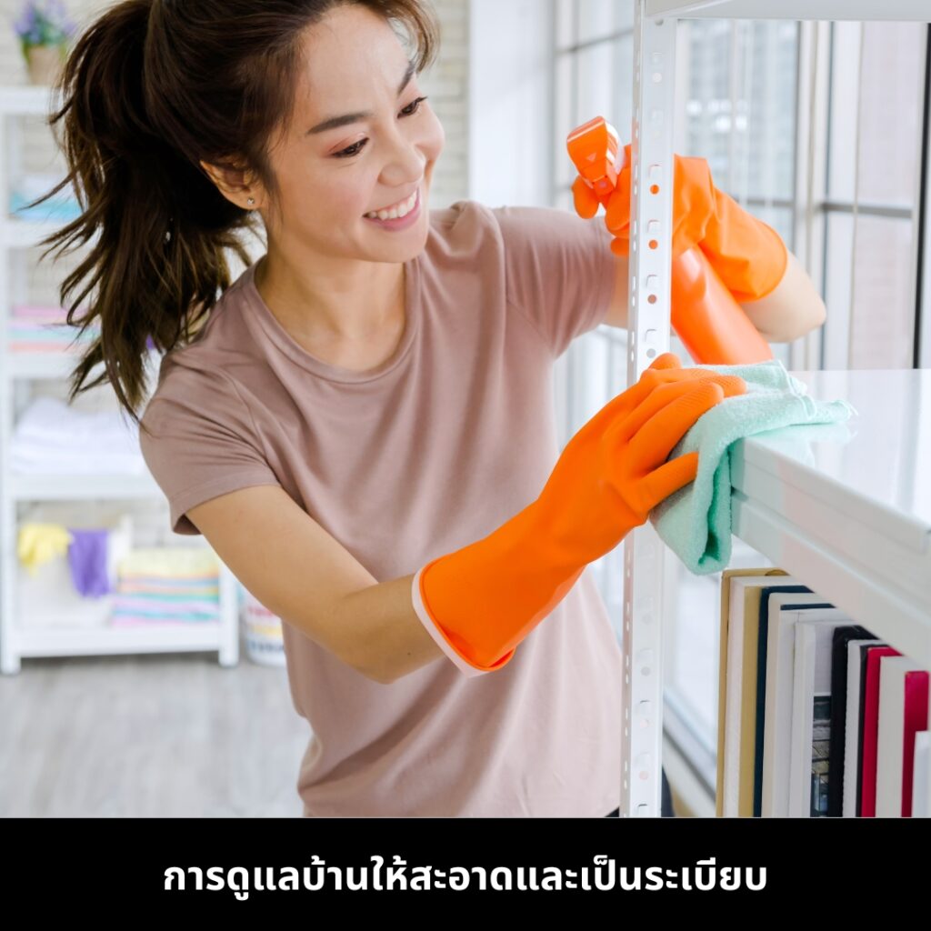 ดูแลบ้านให้สะอาด ต้อนรับปีมะเส็ง