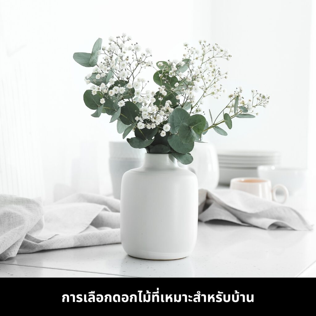 การจัดดอกไม้สดในบ้าน ด้วยการเลือกดอกไม้ที่เหมาะสม