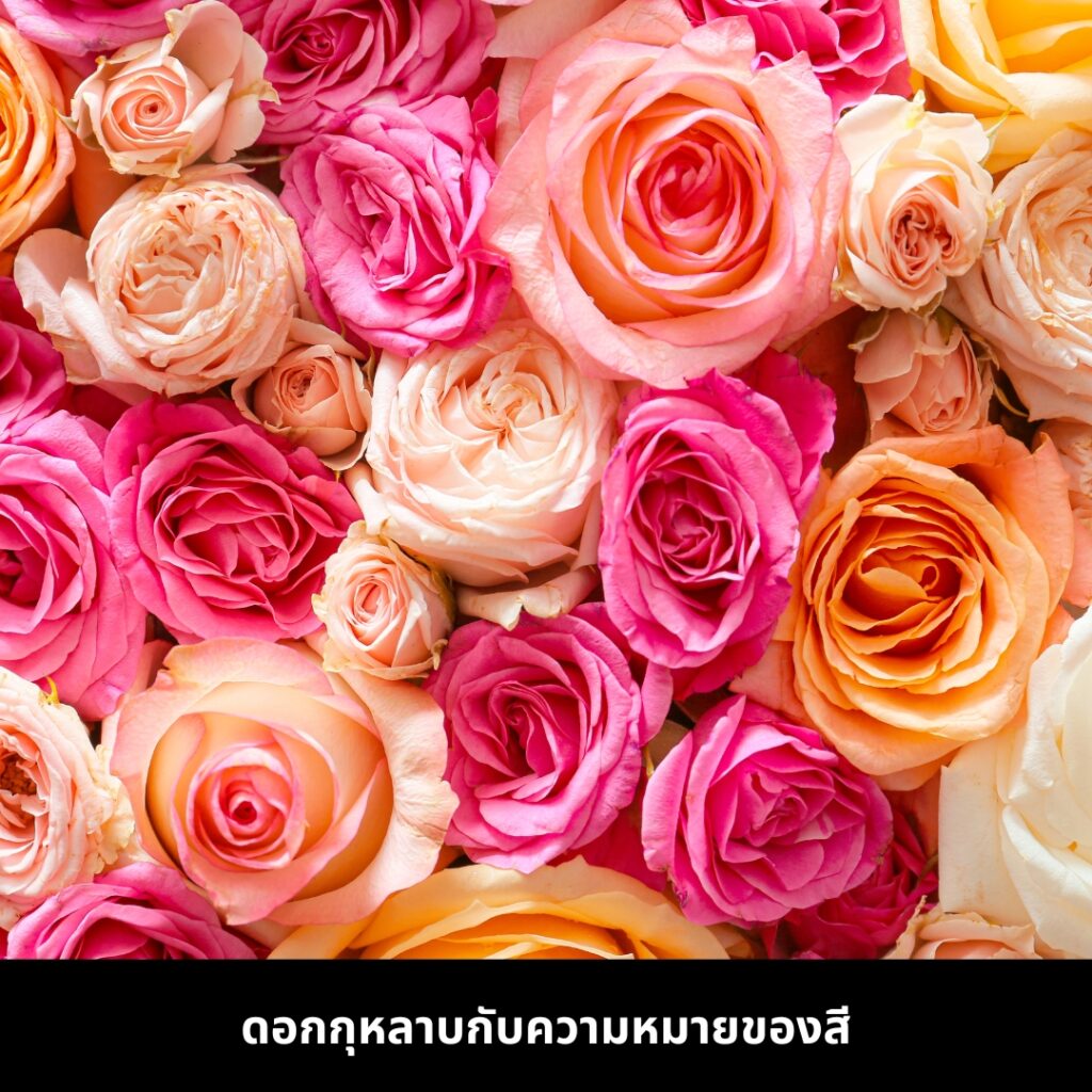 การจัดดอกไม้สดในบ้าน ด้วยดอกกุหลาบหลากสีพร้อมความหมาย